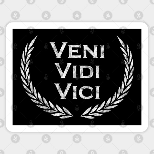 Veni Vidi Vici - Latin saying - Latin' Sticker