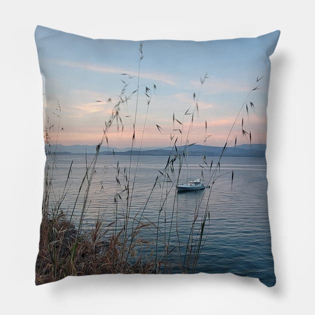 Serene Ocean Sunset: Boat Amidst Weeds Pillow by HFGJewels