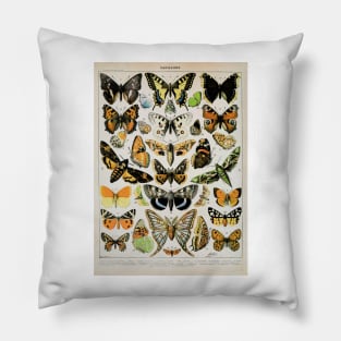 Papillon III Vintage French Butterfly & Moth Chart by Adolphe Millot Pillow