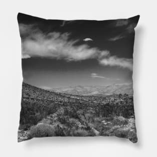 Nevada Desert Pillow