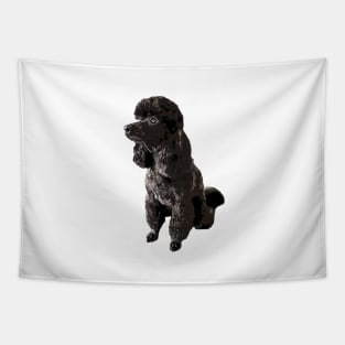 Poodle Mini Toy Black Beauty Tapestry