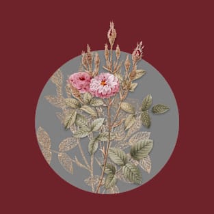 Vintage Mossy Pompon Rose Botanical Illustration on Circle T-Shirt