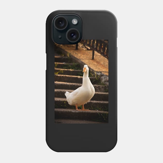 duck pattern Phone Case by yassinebd