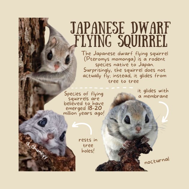 Animal Facts - Japanese Dwarf Flying Squirrel by Animal Facts and Trivias