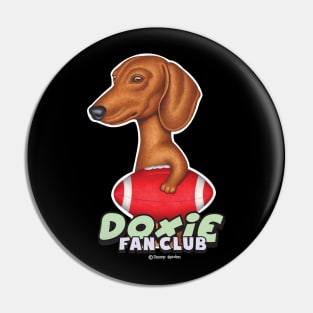 Cute Brown Doxie dog Holding red Football Pin