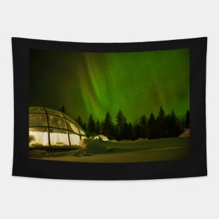 Nighttime in a Glass Igloo Tapestry