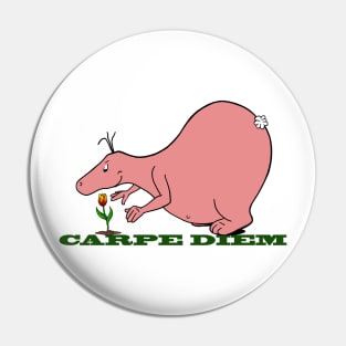 Carpe Diem Blob Pin