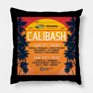 come to crypro arena calibash Pillow