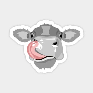 Cow licking nose Magnet