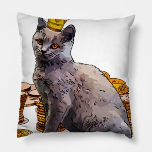 el gato mas rico del mundo 07 Pillow