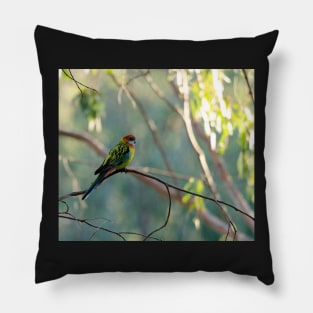 Eastern Rosella Pillow