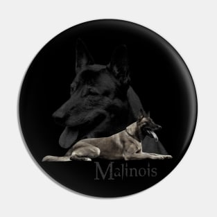 Malinois  - Belgian shepherd - Mechelaar Pin