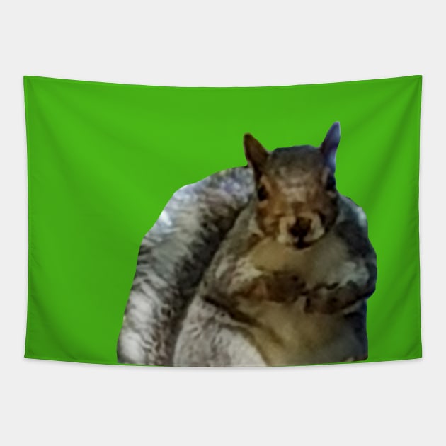 Big Animals Squirrel Abstract Tapestry by ellenhenryart