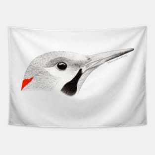 Northern Flicker (Colaptes auratus) - white Tapestry