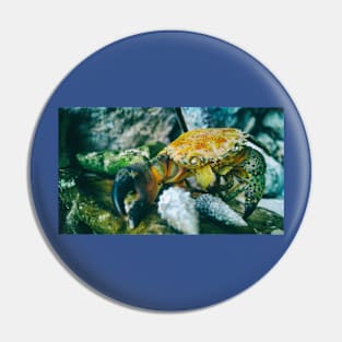 Wild life design Pin