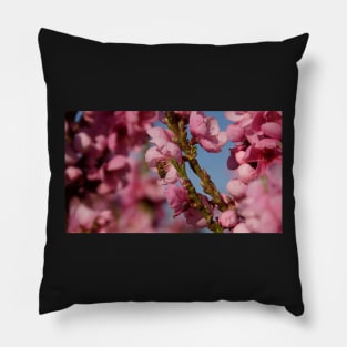 Busy as a Bee - Spring at Magpie Springs by Avril Thomas Pillow