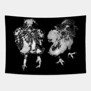 The spirit of the baby kestrel chicks / Swiss Artwork Photography Tapestry