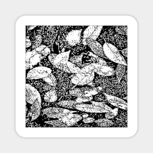 Leaves #3 in Black & White Magnet