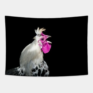 rooster 1 / Swiss Artwork Photography Tapestry