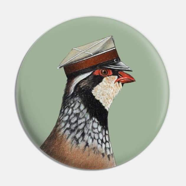 Red-legged partridge Pin by Mikhail Vedernikov