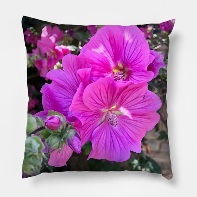 Lavatera, Pink Floral Pillow by Coralgb