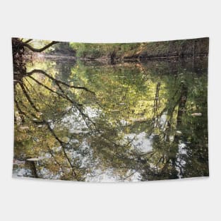 Beautiful Natural Fall Foliage Reflections of Nature on Water at Indian Creek Tapestry