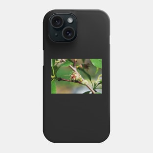 Young Almond Drupes Phone Case