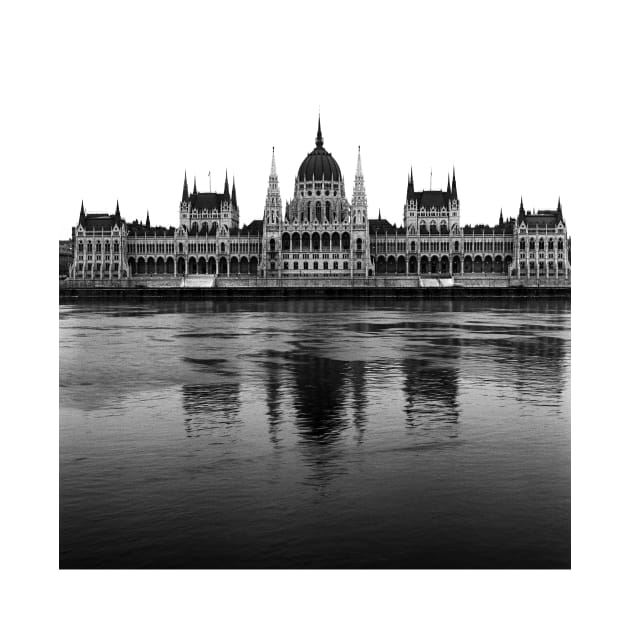 Parliament, Budapest by rodneyj46