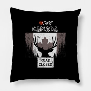 Love my Canada Pillow