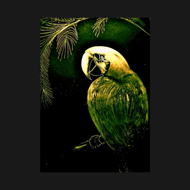 GREEN GOLD MACAW ON BLACK by jacquline8689