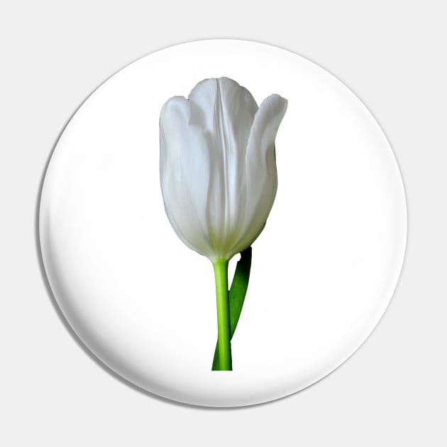 The White Tulip Pin by MolinArte