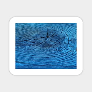 TREE RINGS. Accurate but slow clock Magnet