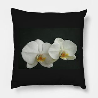 My New Orchid Pillow