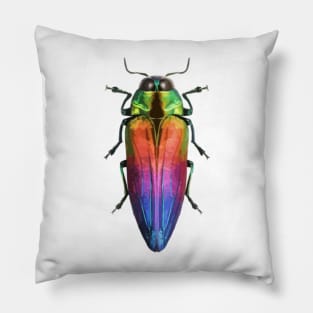 Jewel Beetle Digital Painting Pillow