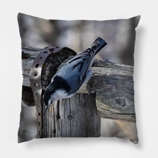 White Breasted Nuthatch. Pillow