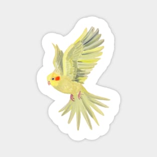 Cockatiel Magnet