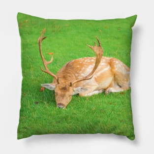 Sleeping Fallow Deer Pillow