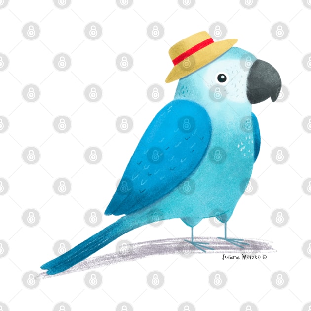 Spixes Macaw with hat by julianamotzko