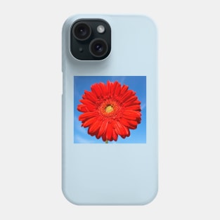 Red gerbera Phone Case