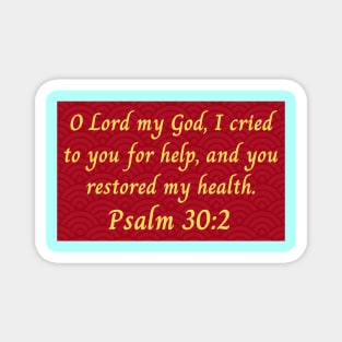 Bible Verse Psalm 30:2 Magnet