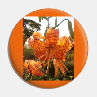 Tiger Lily Orange Pin