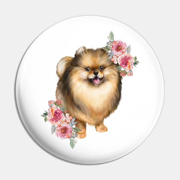 Pin on Pomeranians