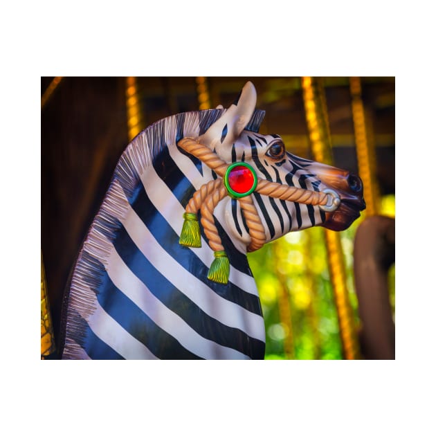 Lovely Zebra Carrousel Ride by photogarry