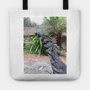 Lace Monitor or Goanna Tote