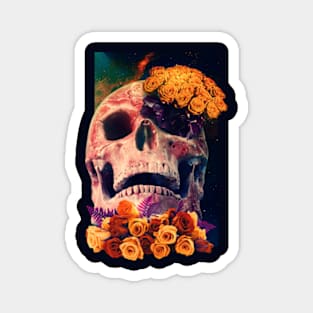 Skull and roses Magnet