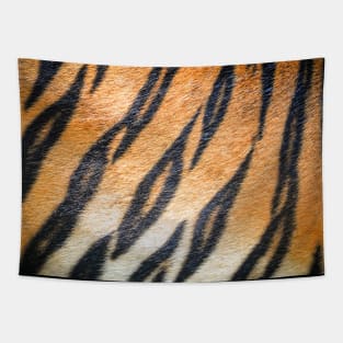 Tiger Fur Print Skin Exotic Animals Jungle Tropical Texture Tapestry