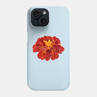 Tagetes patula &#39;Red Cherry&#39; French marigold Phone Case