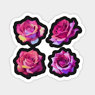 Roses pack Magnet