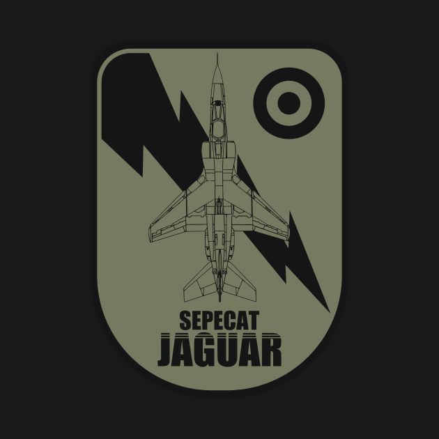 Sepecat Jaguar by Tailgunnerstudios