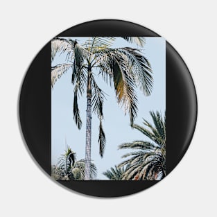 Palm trees, Tropical landscape palms, Sky, Nature print Pin